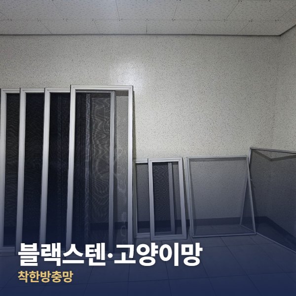 남양주 블랙스텐·고양이망